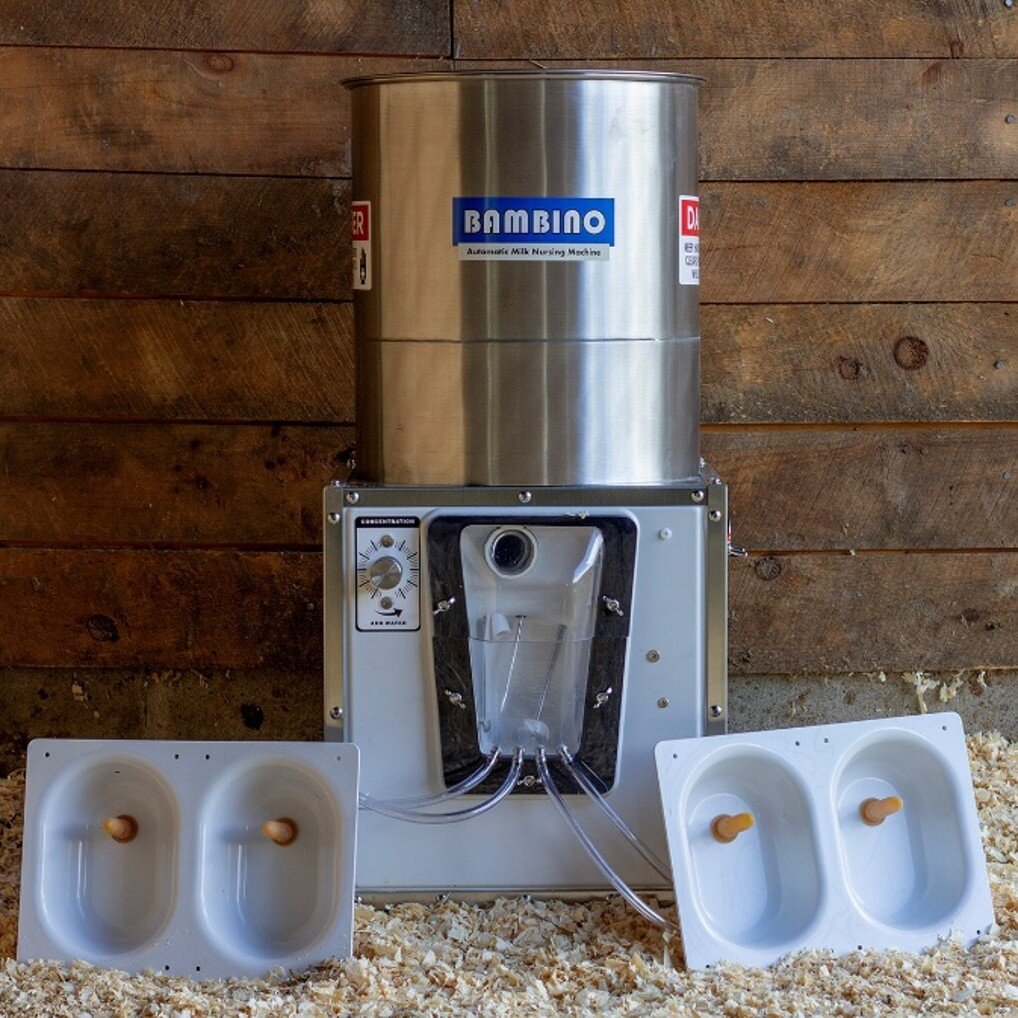 Machine d'allaitement automatique Bambino OVIS-40